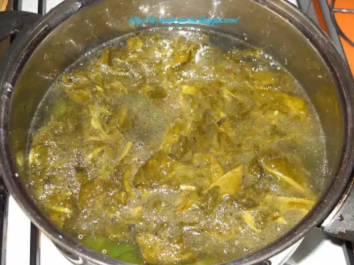 Sarmalute in foi de stevie - dietetic - poza 11