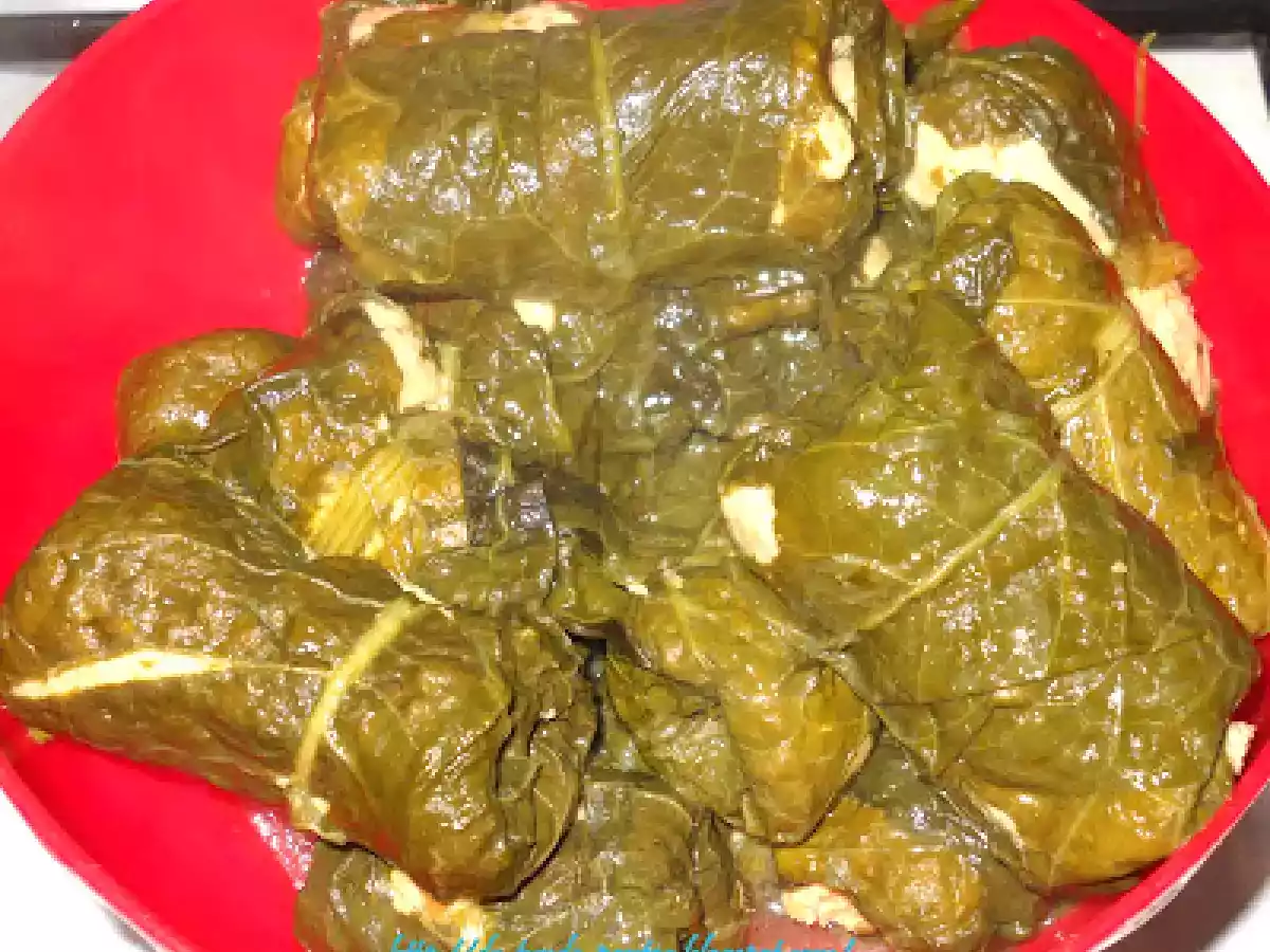 Sarmalute in foi de stevie - dietetic - poza 12