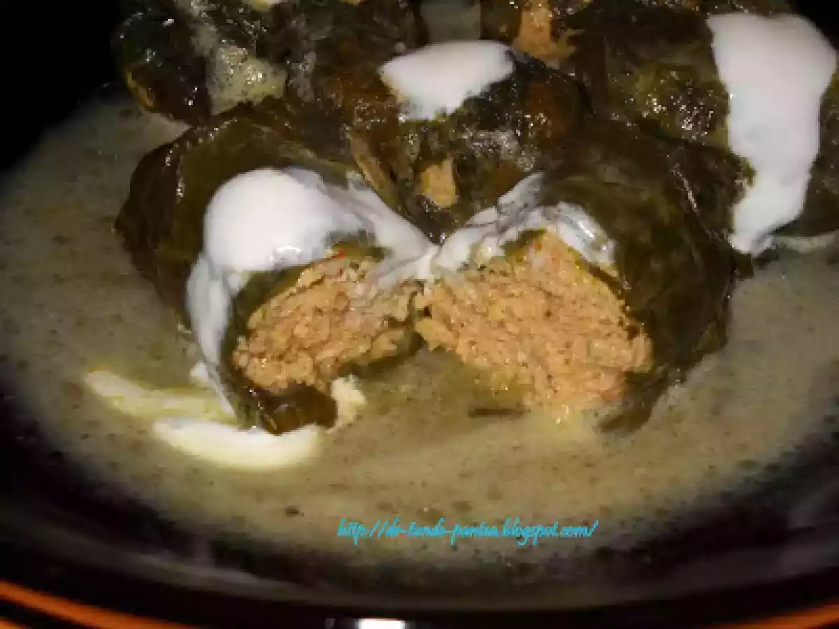 Sarmalute in foi de stevie - dietetic - poza 13