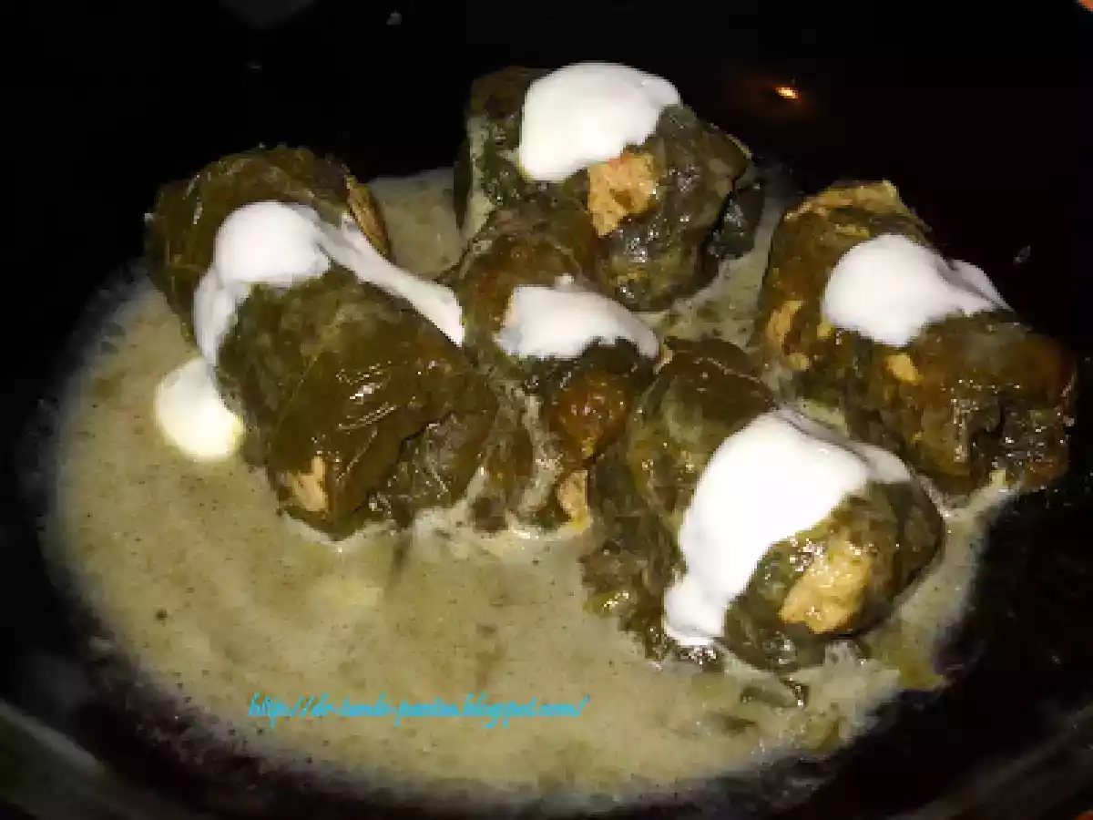 Sarmalute in foi de stevie - dietetic - poza 14