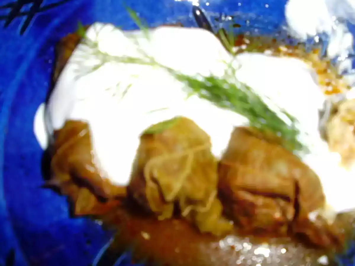 SARMALUTE IN FOI DE VITA ( CU CARNE DE CURCAN)