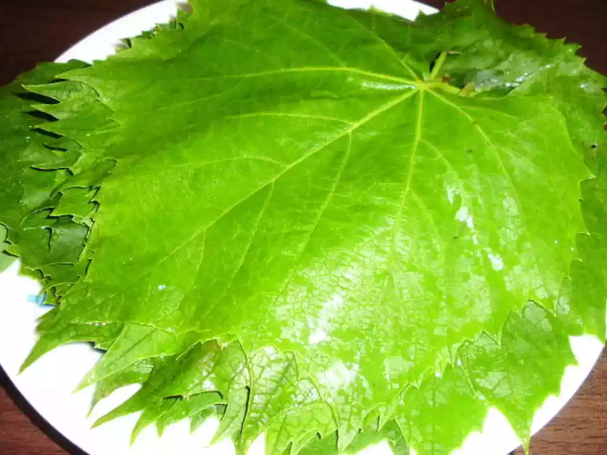 SARMALUTE IN FOI DE VITA ( CU CARNE DE CURCAN) - poza 2