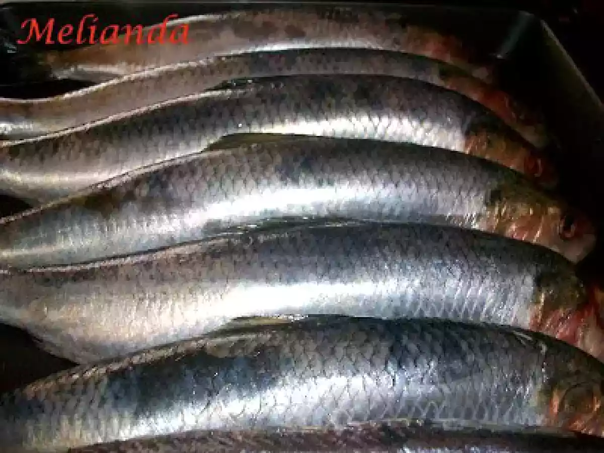 Scrumbie de Dunare la gratar