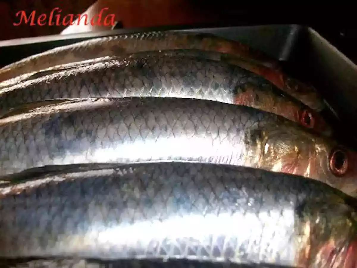 Scrumbie de Dunare la gratar - poza 2