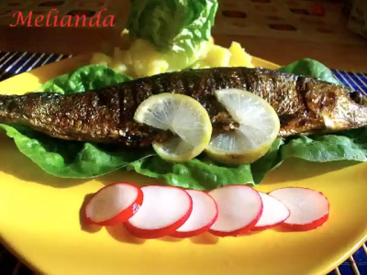 Scrumbie de Dunare la gratar - poza 7