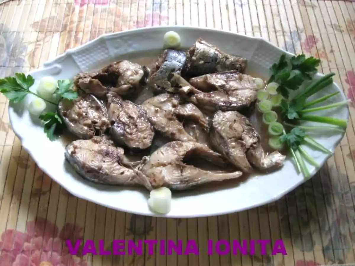 SCRUMBIE PROASPATA MARINATA