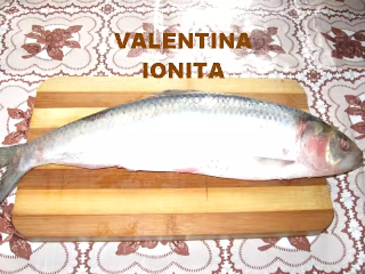 SCRUMBIE PROASPATA MARINATA - poza 2