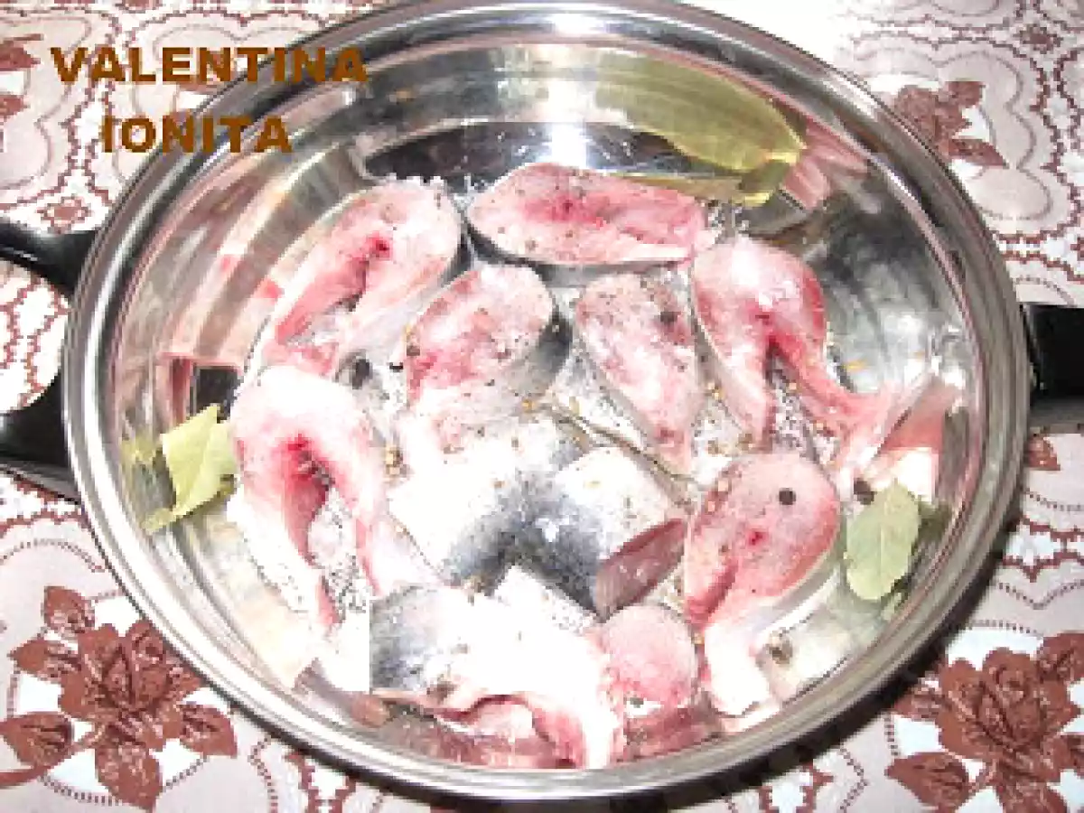 SCRUMBIE PROASPATA MARINATA - poza 3