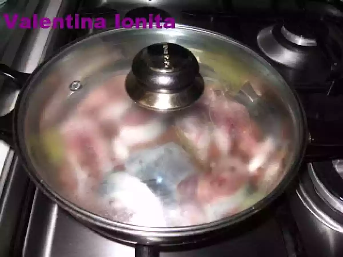 SCRUMBIE PROASPATA MARINATA - poza 5