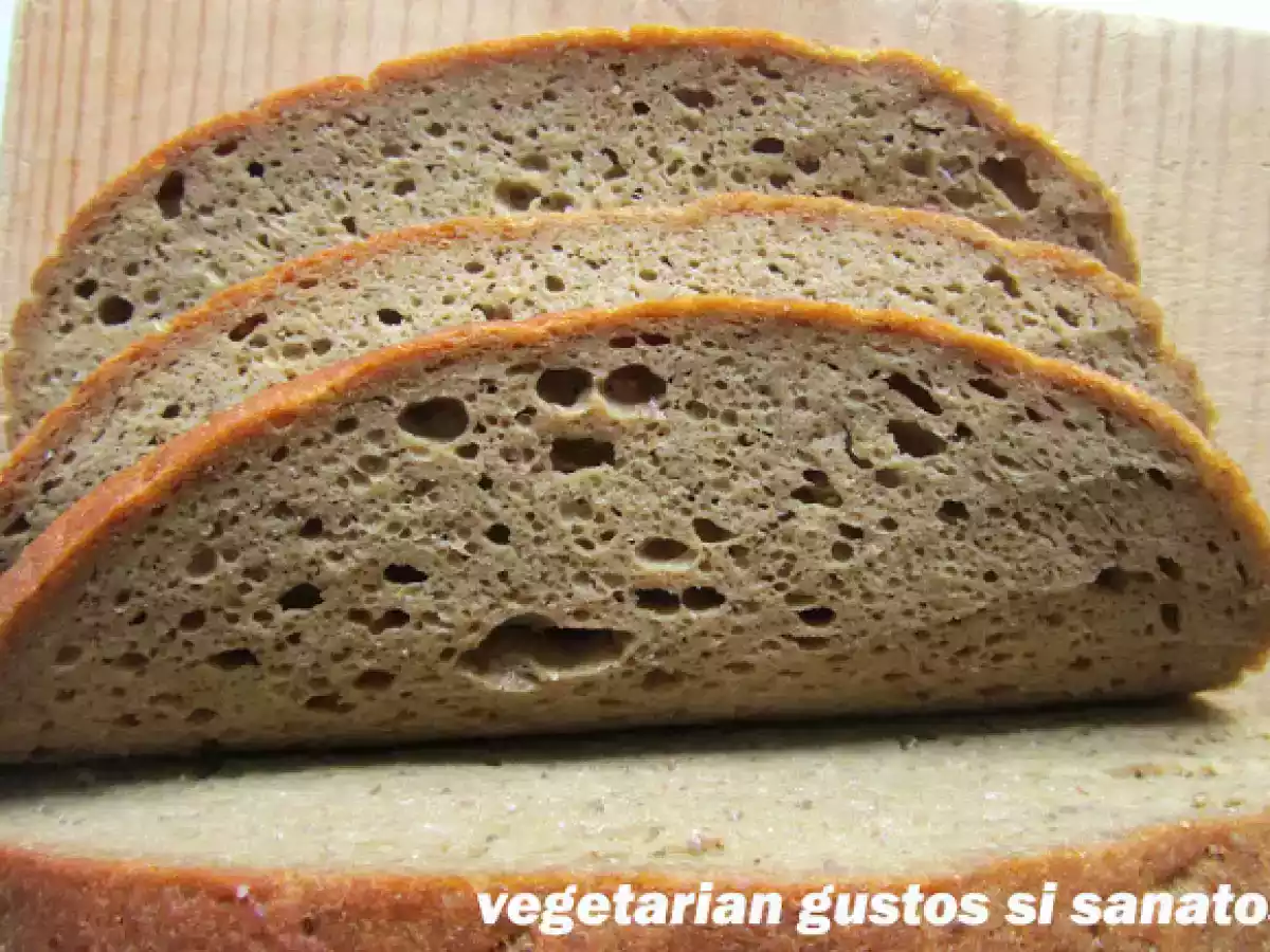 SEITAN - GLUTEN CA INLOCUITOR DE CARNE - poza 2