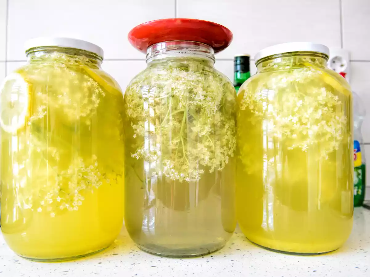 Socată cu lămâie, portocală și miere de albine - poza 2