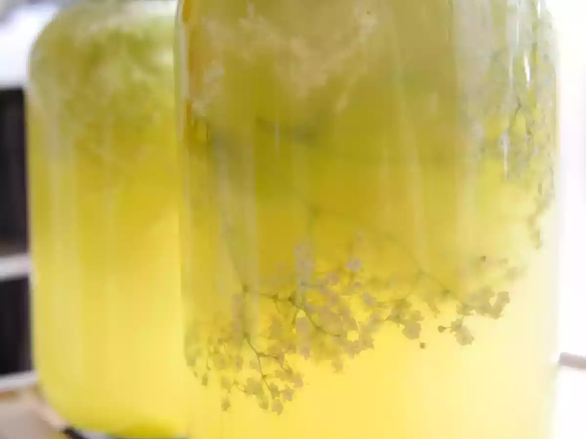 Socată cu lămâie, portocală și miere de albine - poza 3