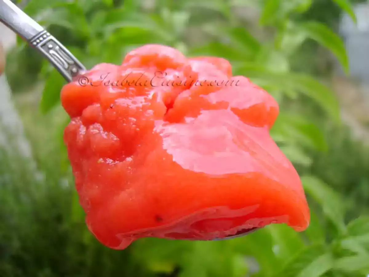 Sorbet de capsuni - poza 3