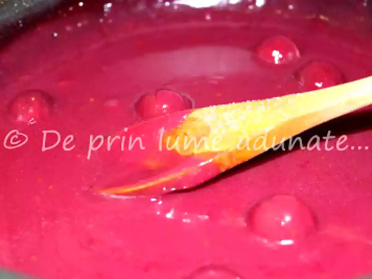 Sos de visine - poza 2