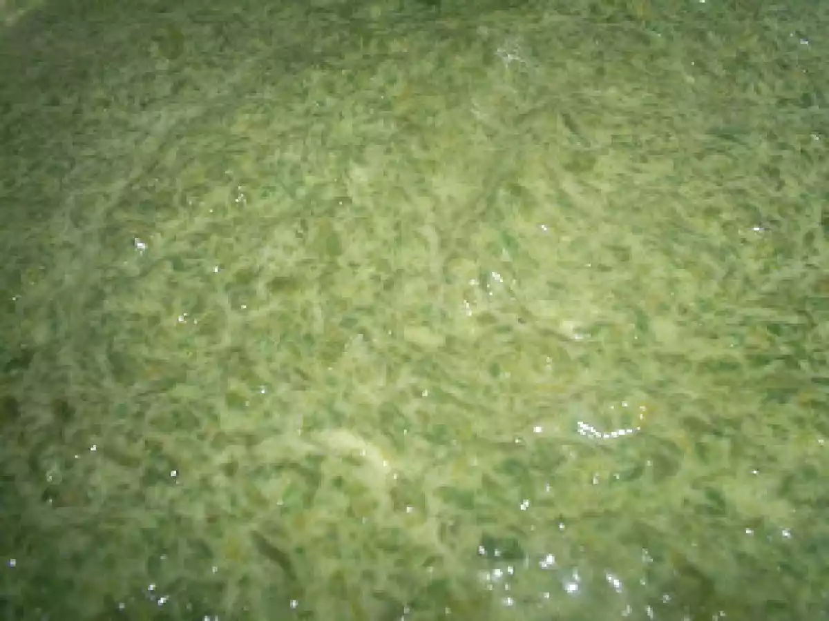 Spanac cu ochiuri - poza 3