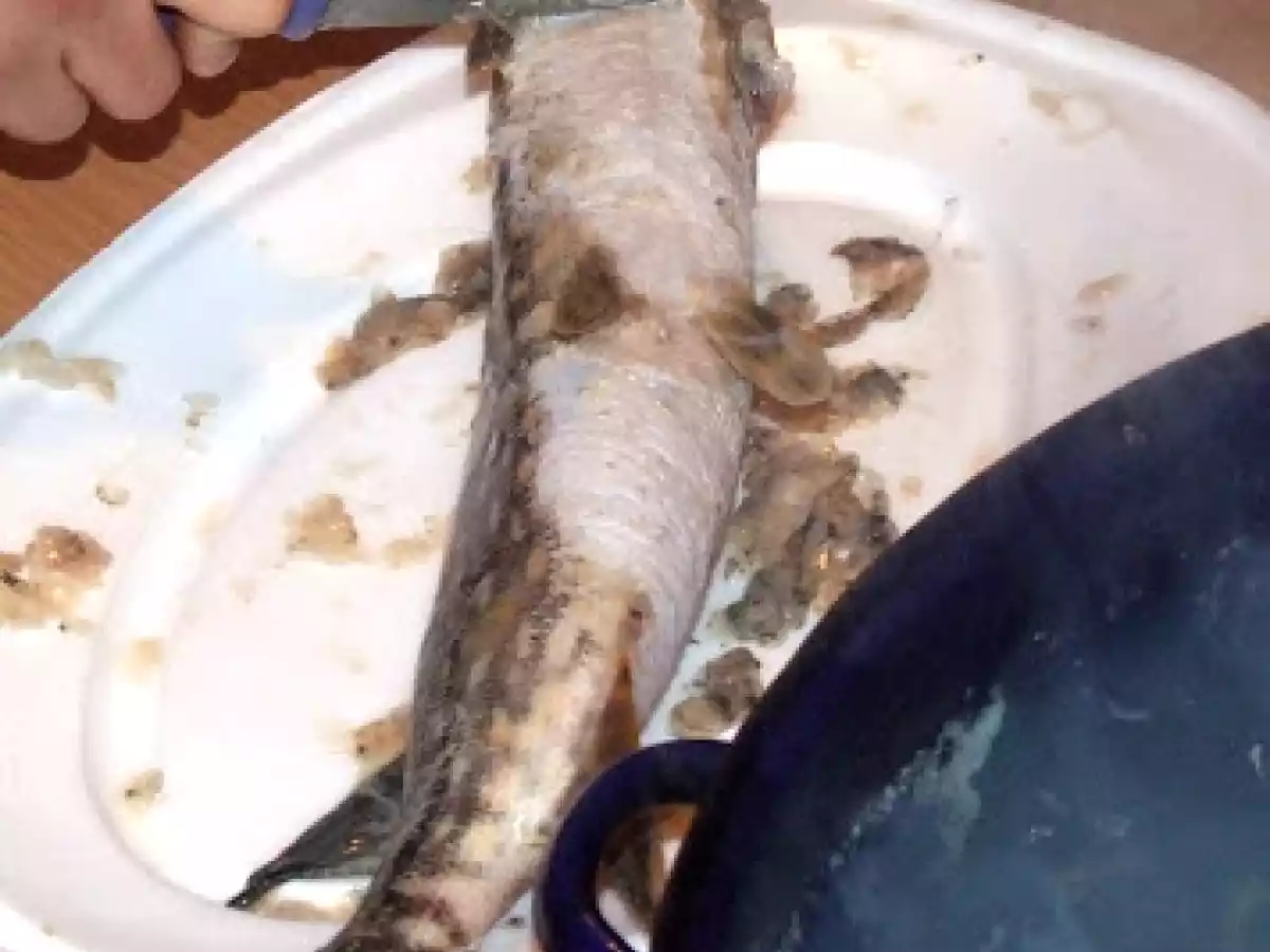 Stiuca la cuptor - poza 3