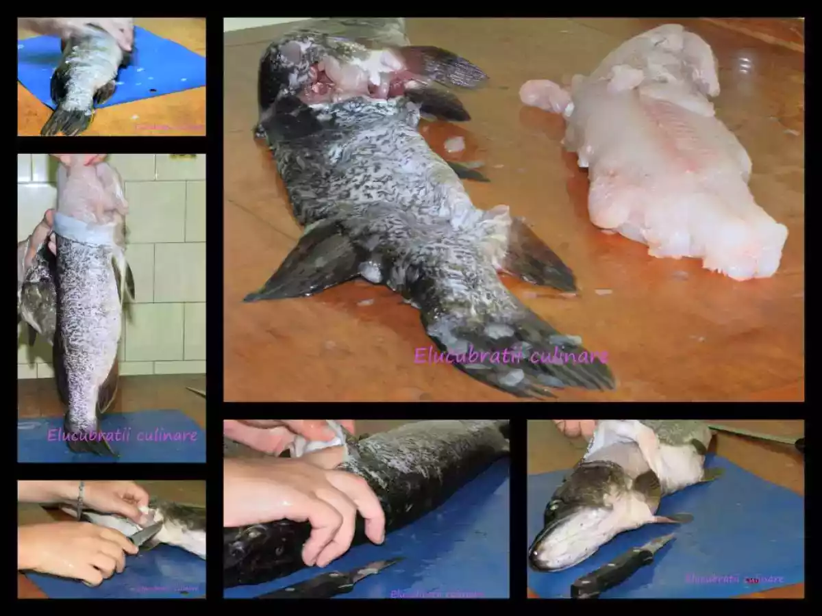 Știucă umplută - poza 3