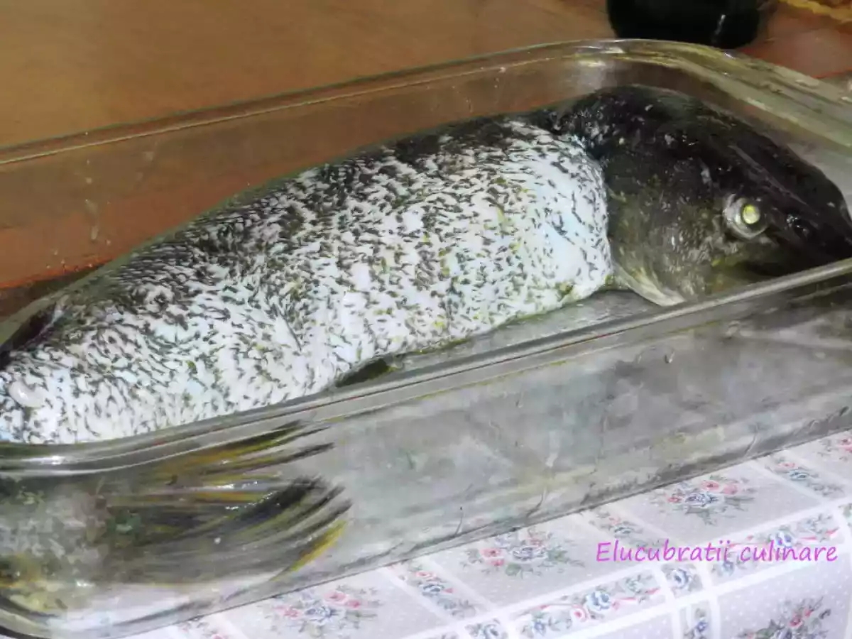 Știucă umplută - poza 4