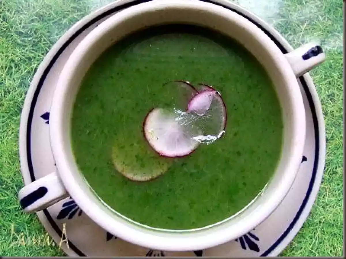 Supa crema de frunze de ridichi - poza 5