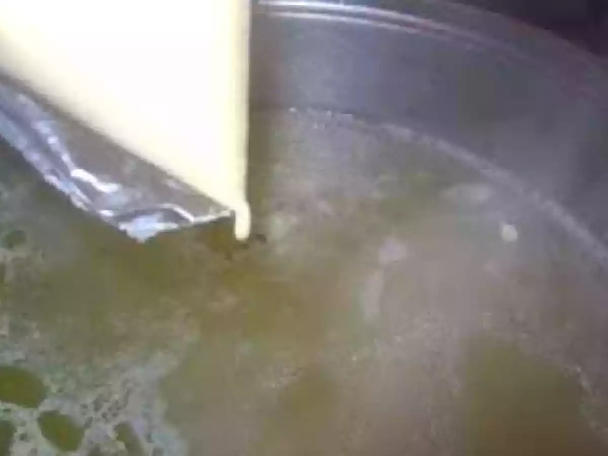 Supa de frecatei - poza 5