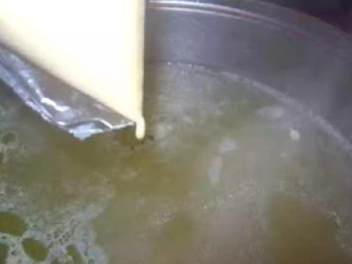 Supa de frecatei - poza 6