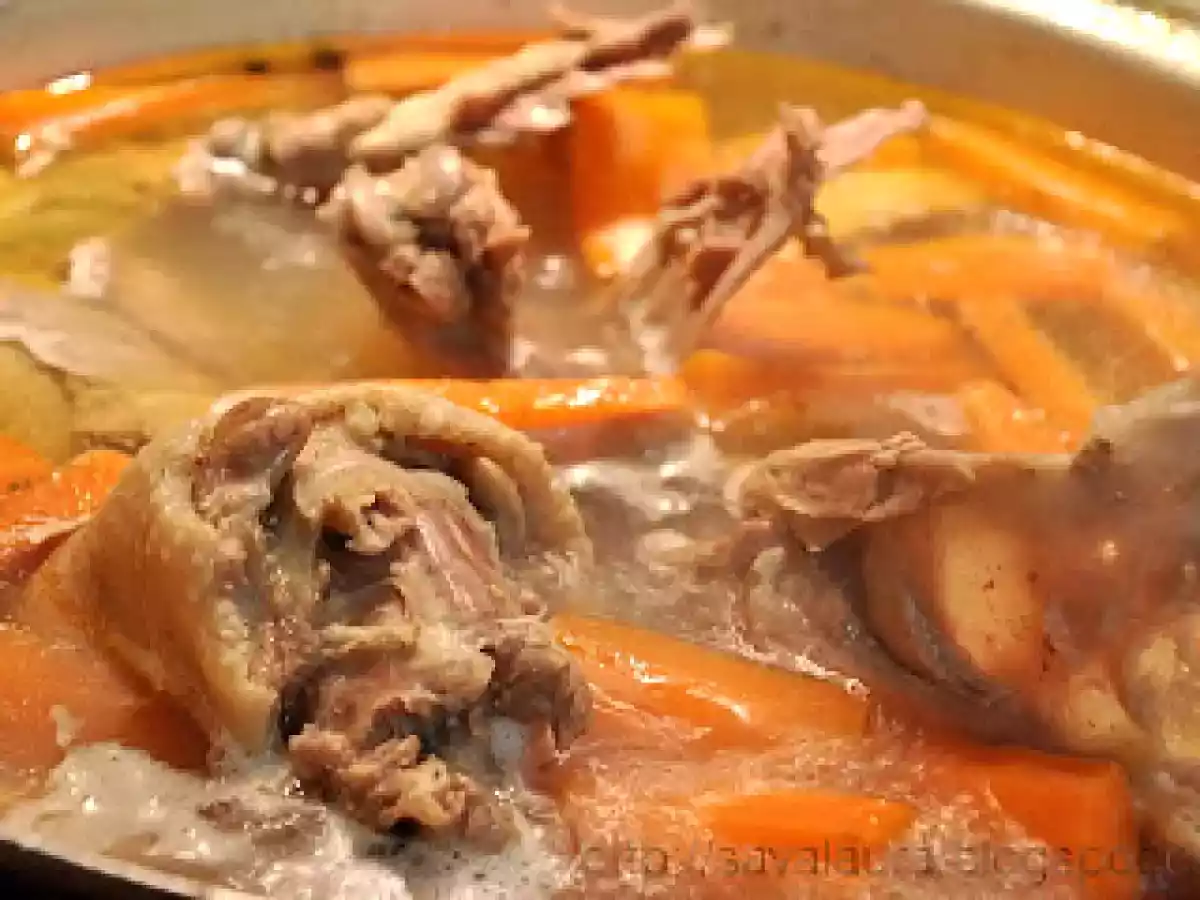 Supa de gasca - poza 3