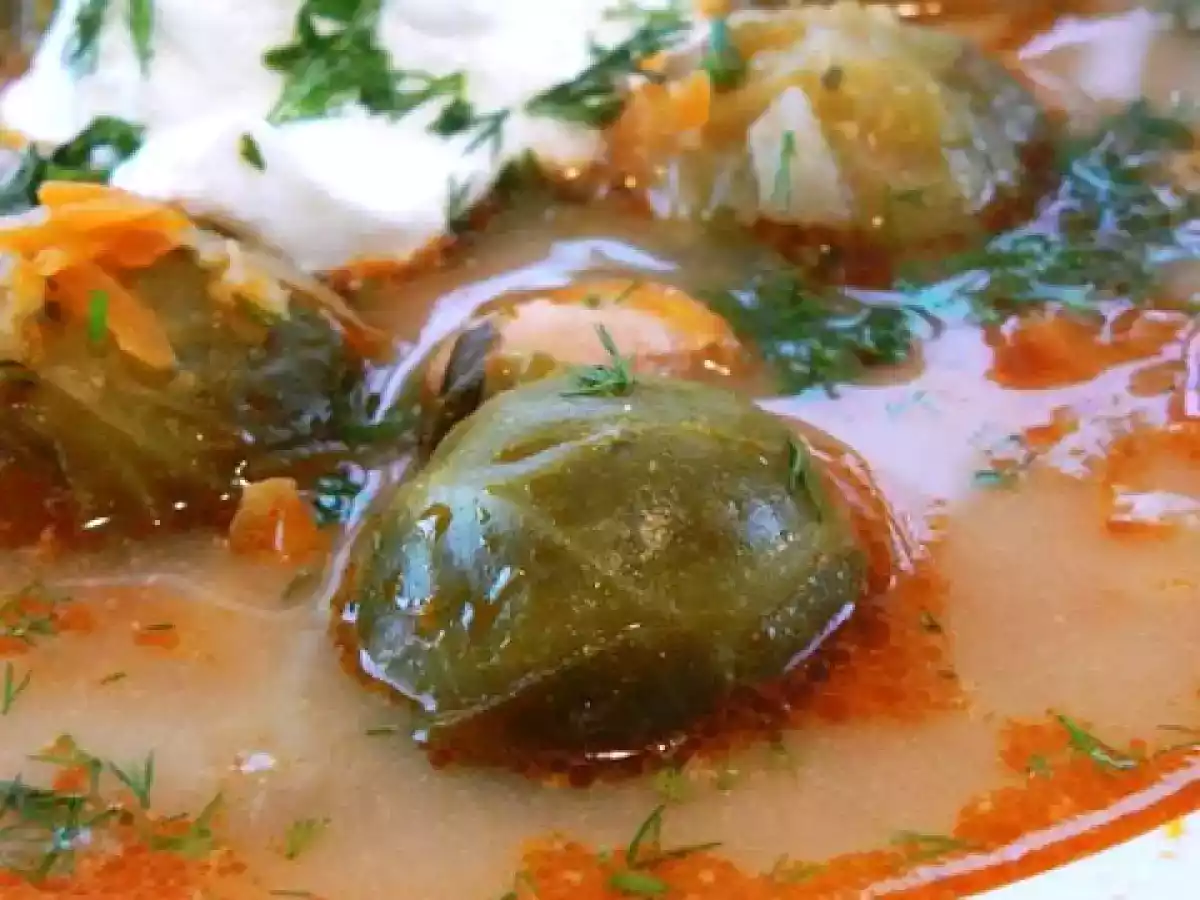 Supa de pui cu varza de Bruxelles - poza 2