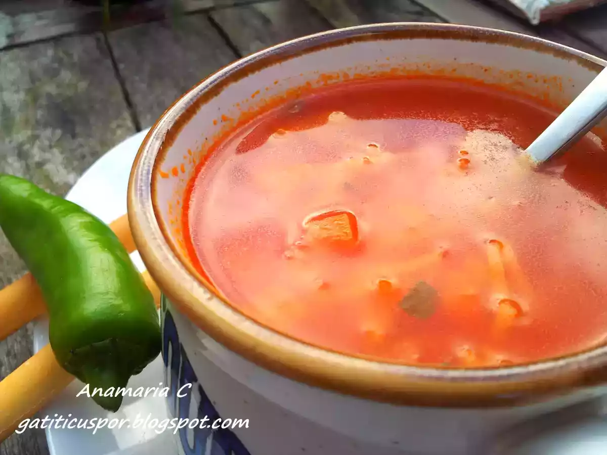 Supa de rosii - poza 2