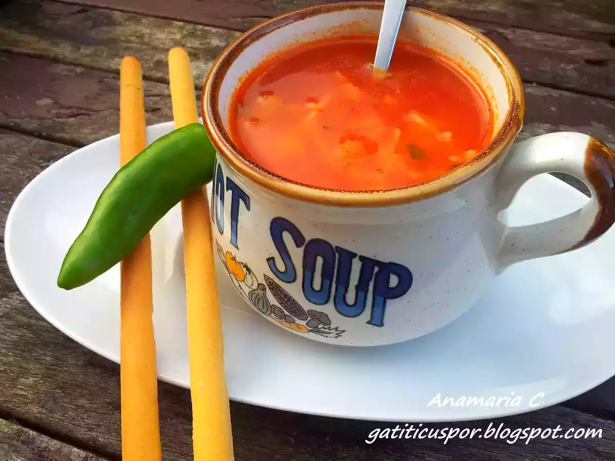 Supa de rosii - poza 3