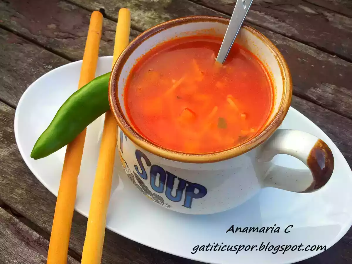 Supa de rosii - poza 4