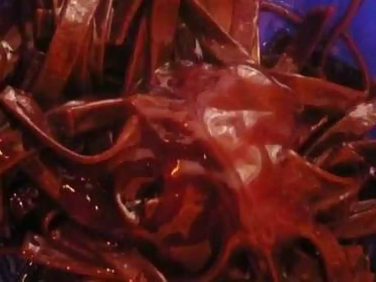 Tagliatelle de ciocolata flambate cu coniac - poza 2