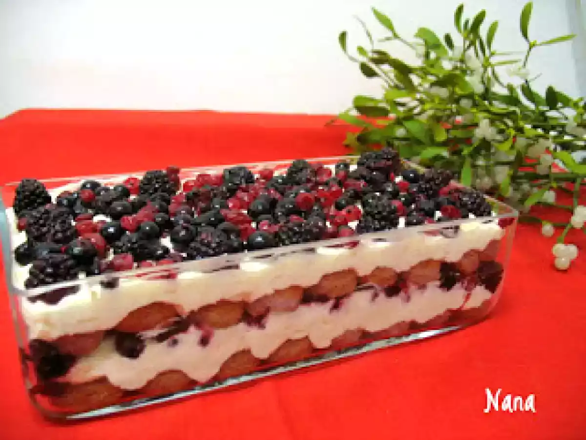 TIRAMISU CU FRUCTE DE PADURE