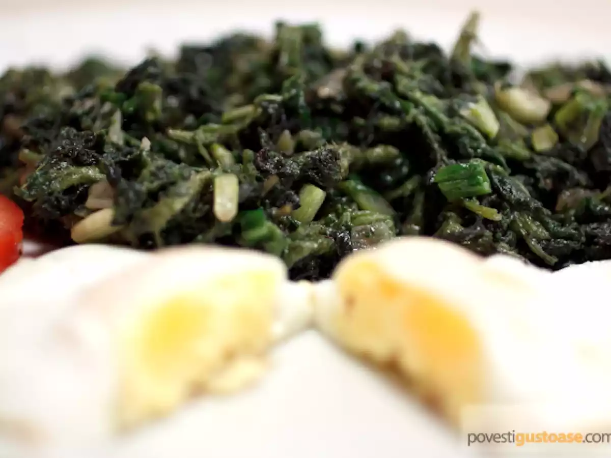 Tocana de urzici si leurda - poza 2