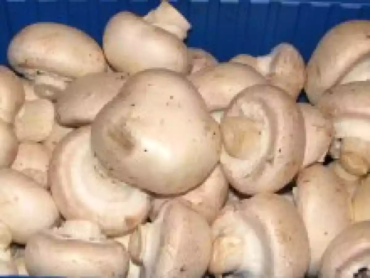 Tocanita cu carne de vita si ciuperci - poza 3