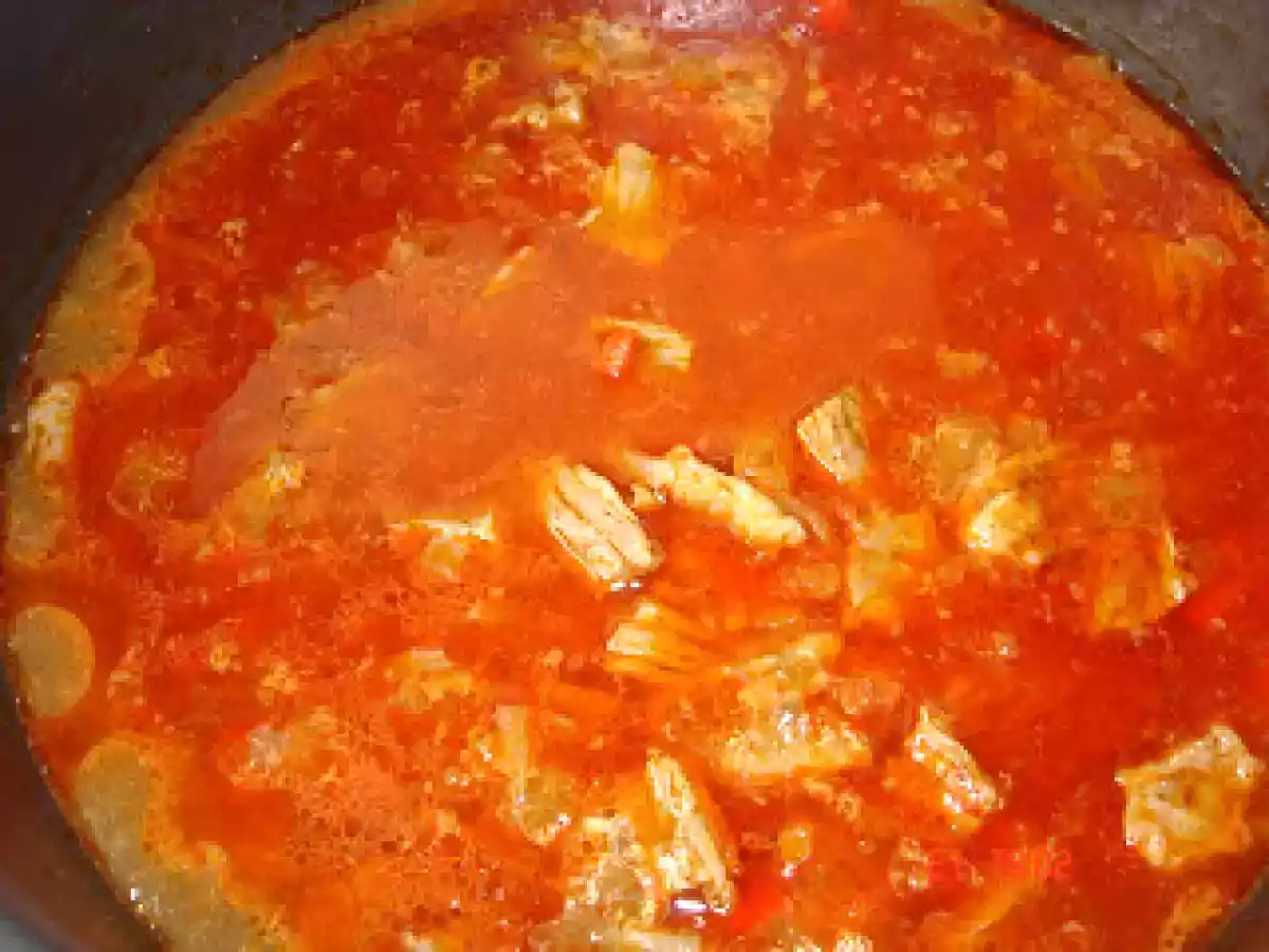 TOCANITA CU CARNE DE VITEL - poza 4