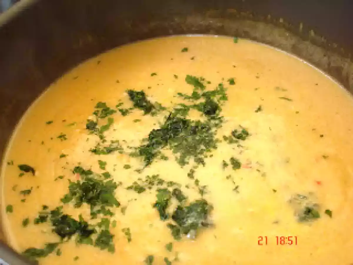 TOCANITA CU CARNE DE VITEL - poza 7