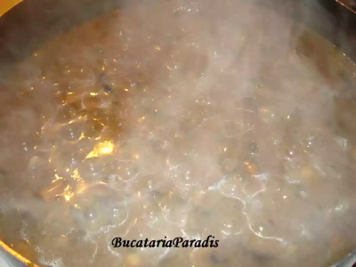 TOCANITA DE CIUPERCI a la Bunica. - poza 5