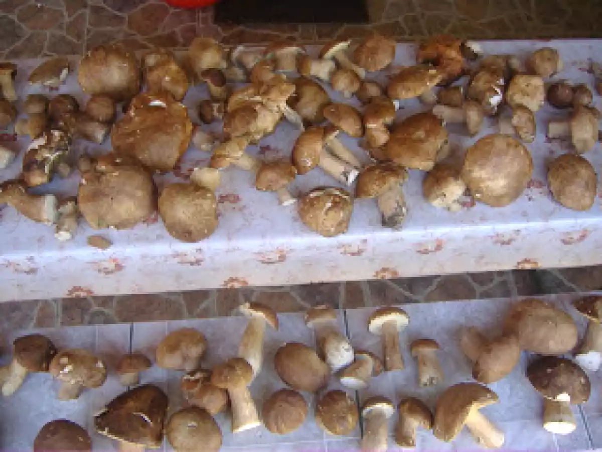 Tocanita de ciuperci cu mamaliguta - poza 2