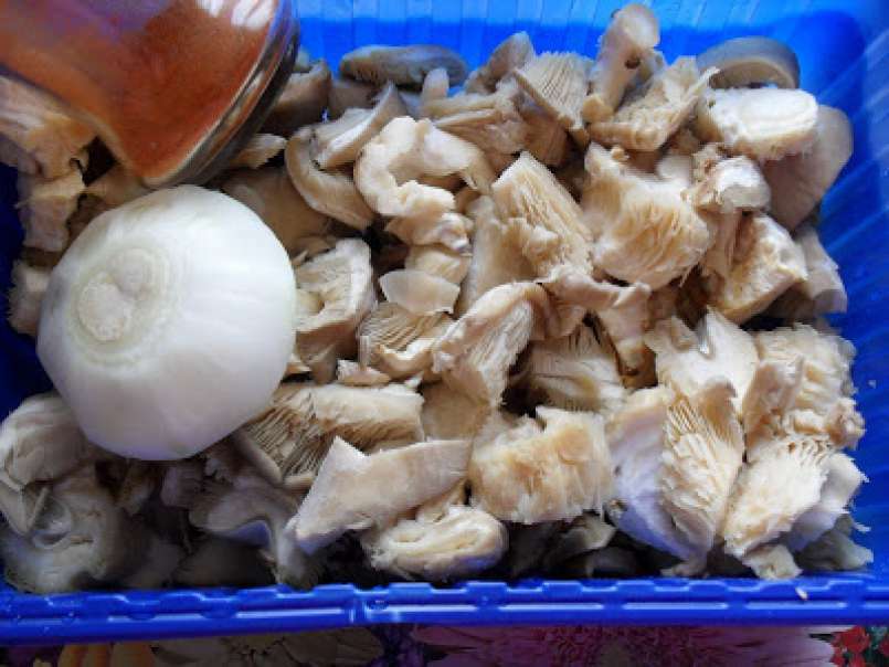 Tocanita de ciuperci Pleurotus, poza 3