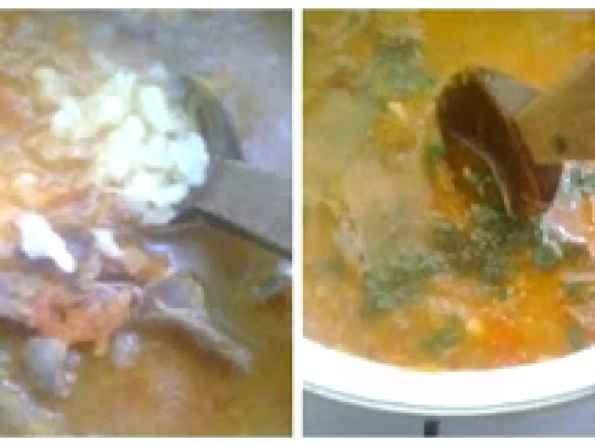 Tocanita de pipote - poza 6