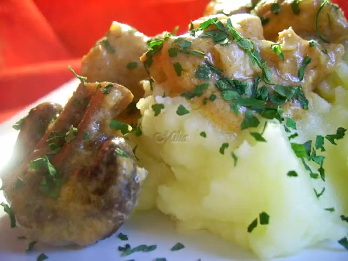 Tocanita de pui cu iaurt - poza 3