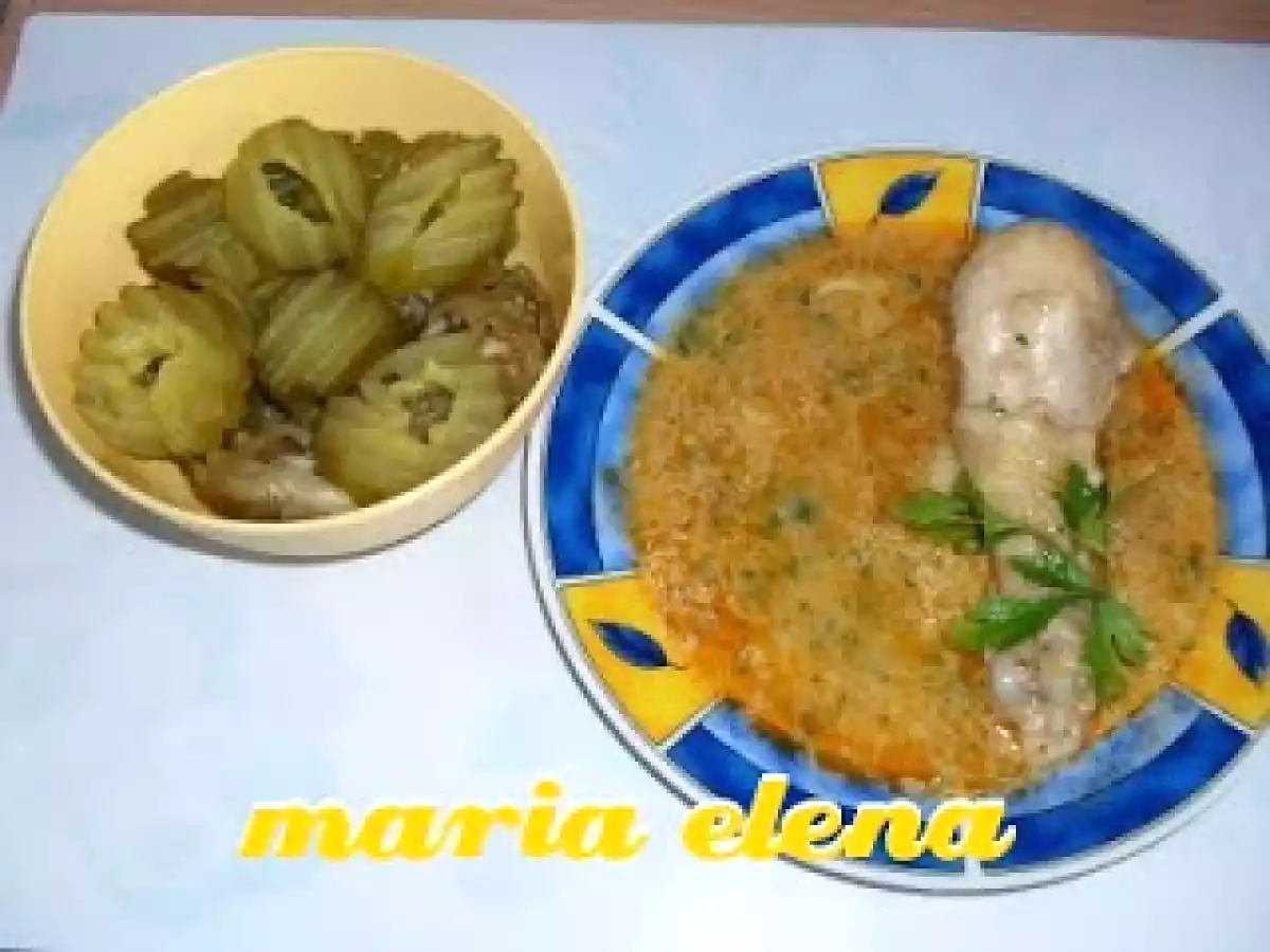 TOCANITA DE PULPE DE PUI