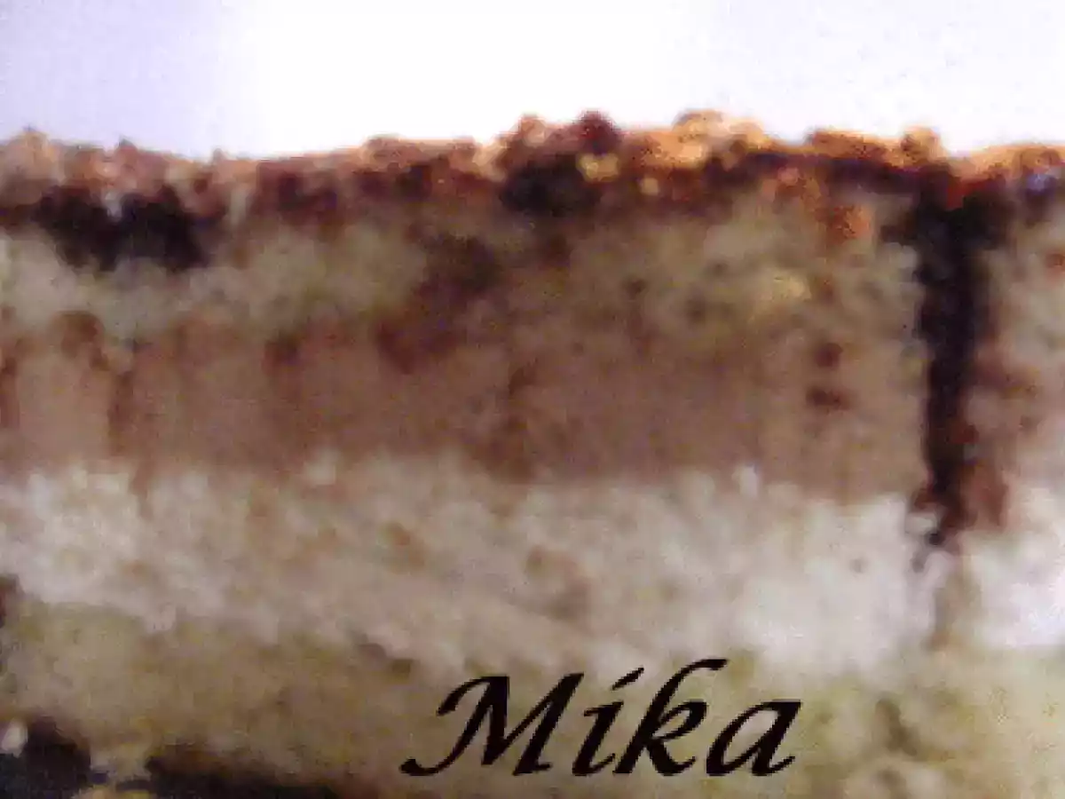 Tort cu cocos si ciocolata - poza 2