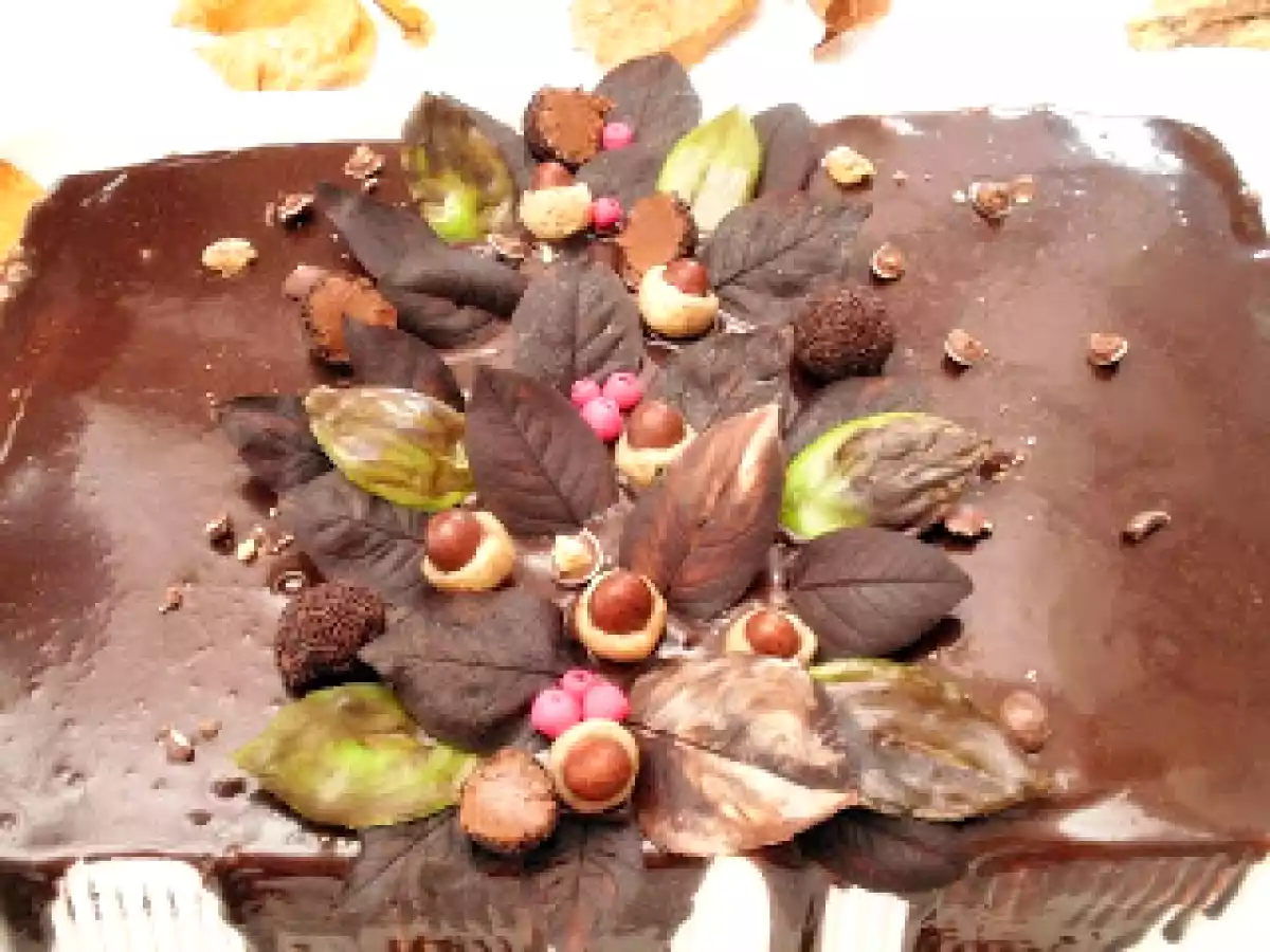 Tort cu fructe, ness si ciocolata - poza 3