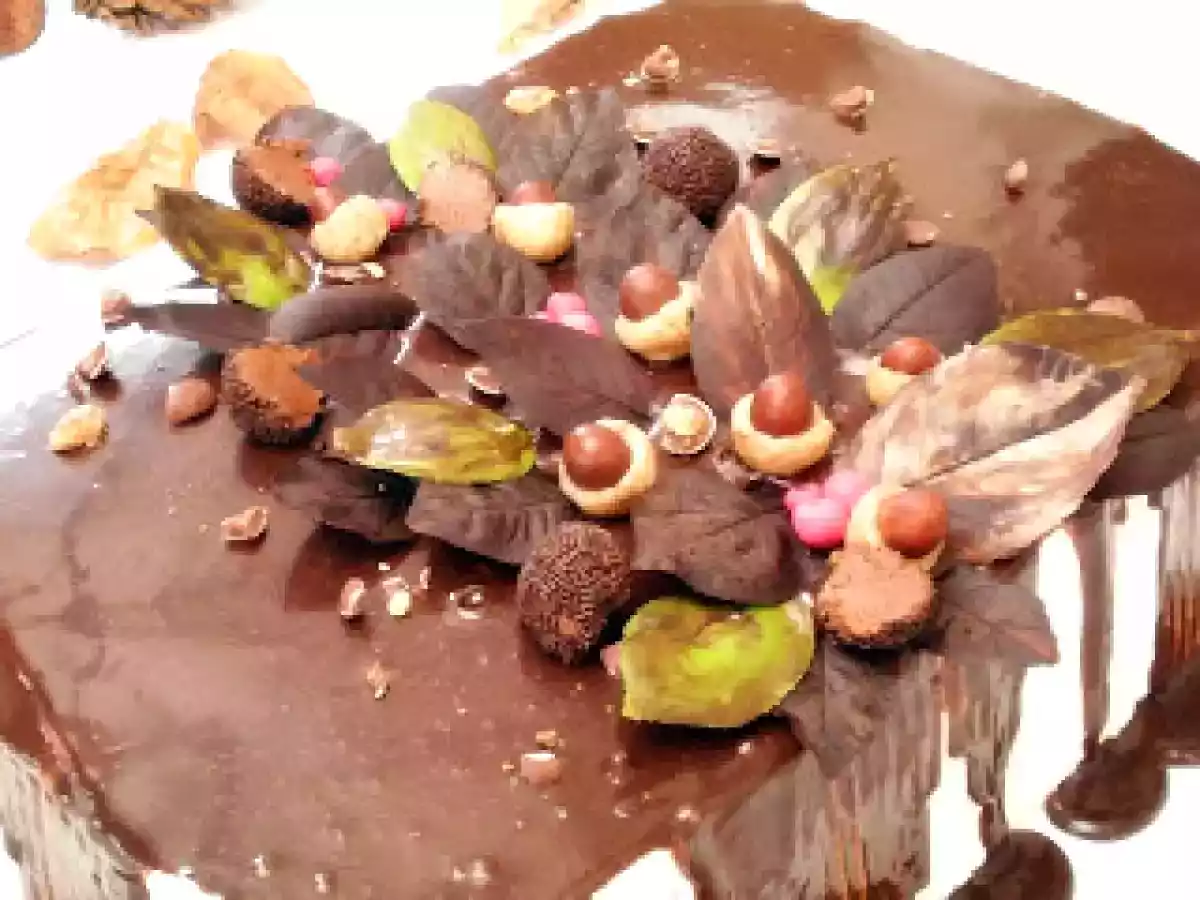 Tort cu fructe, ness si ciocolata - poza 4