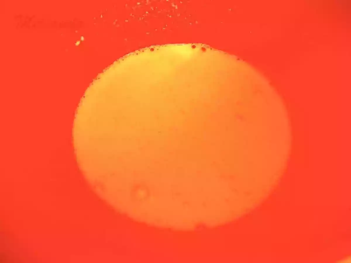 Tort cu iaurt de capsuni si frisca - poza 6