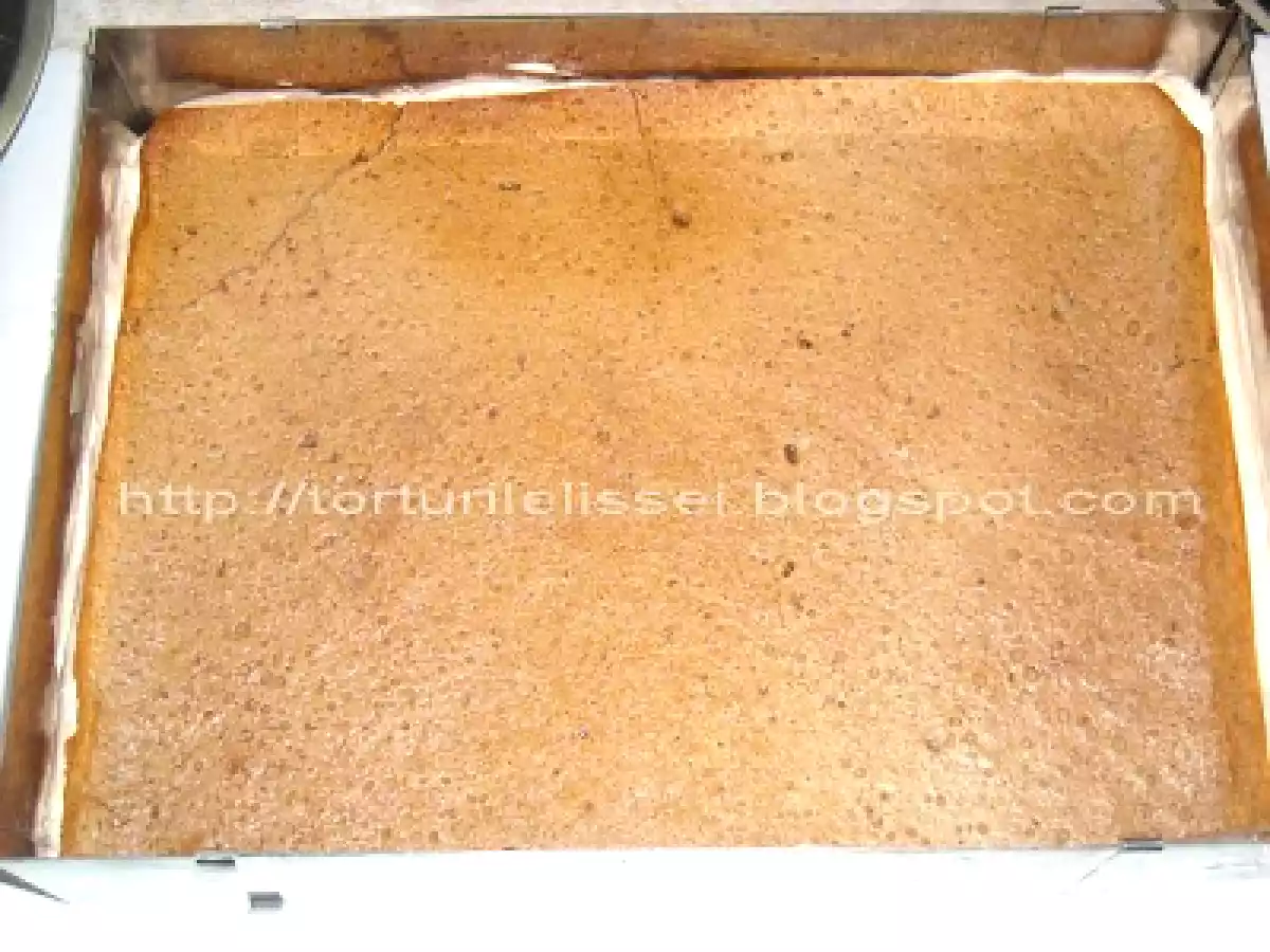 Tort cu mousse de ciocolata si mousse de piersici - poza 4