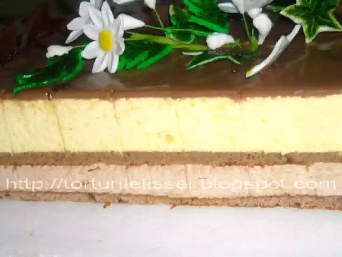 Tort cu mousse de ciocolata si mousse de piersici - poza 8