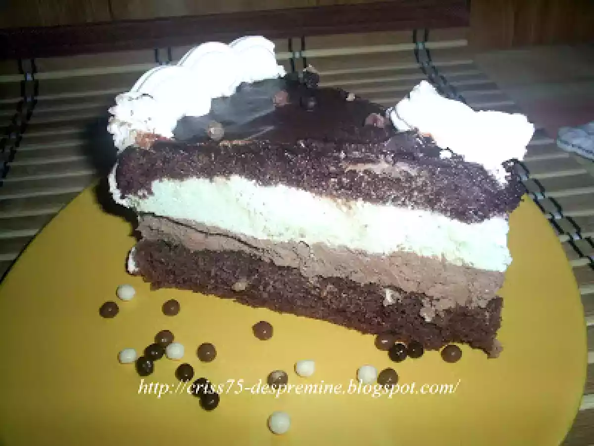Tort cu mousse de menta si mousse de ciocolata - poza 2