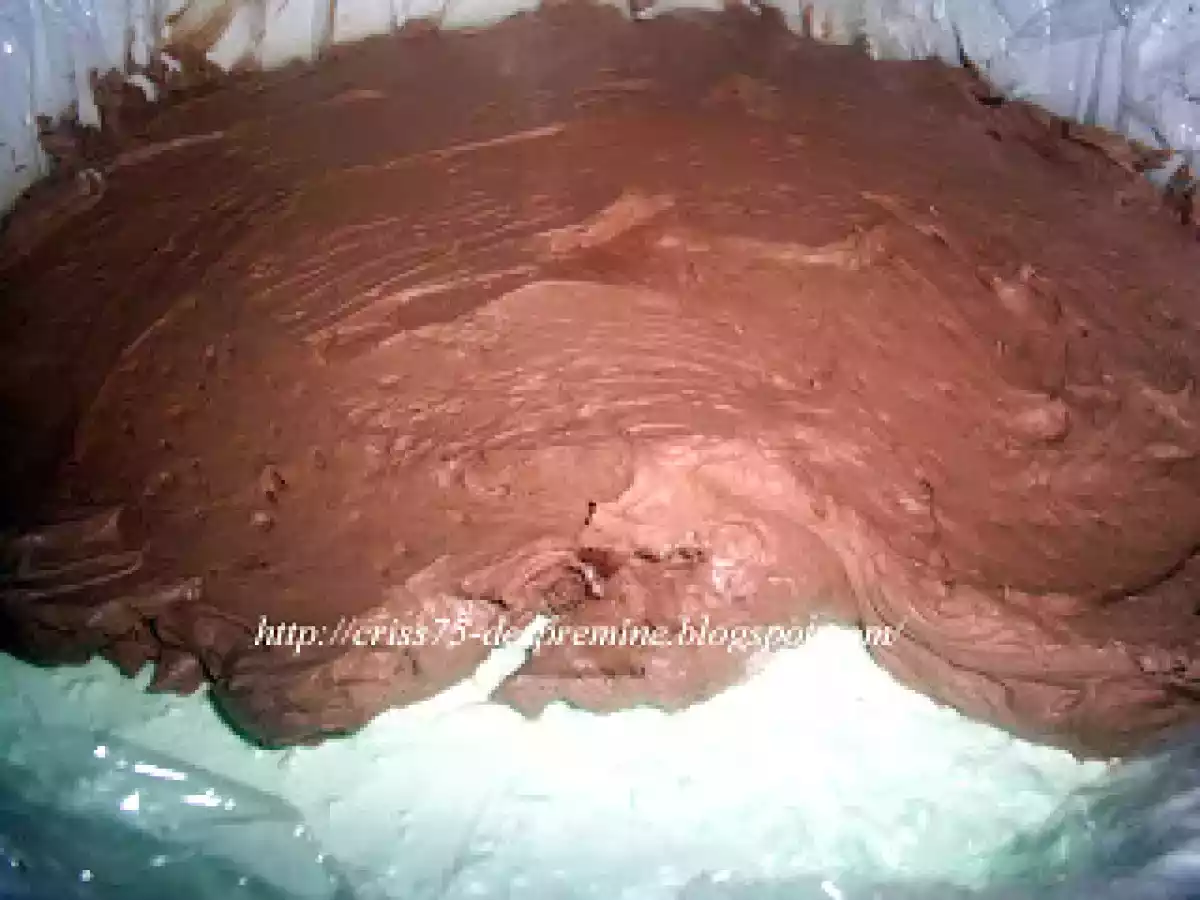 Tort cu mousse de menta si mousse de ciocolata - poza 7